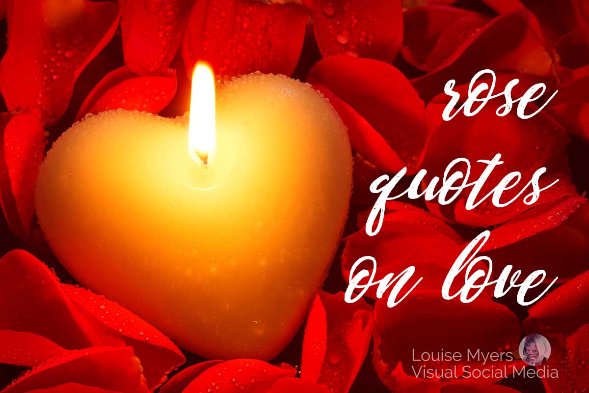 bougie coeur sur des pétales de rose rouges dit des citations de rose sur l'amour.