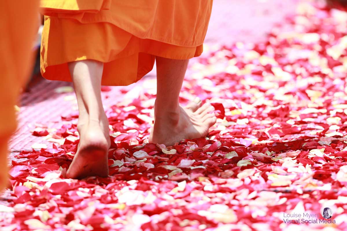 pieds marchant sur des pétales de rose roses.