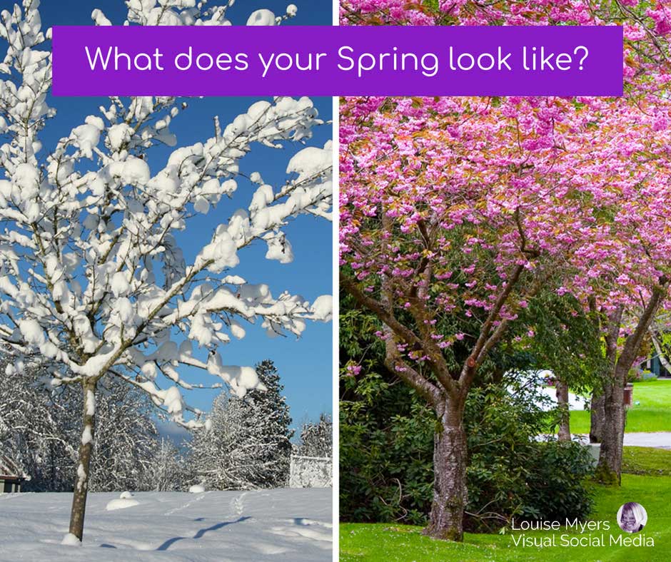 arbre enneigé et fleurs de cerisier disent à quoi ressemble le printemps.
