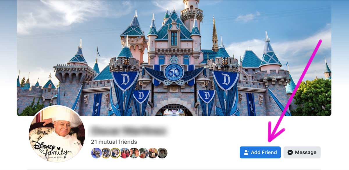 le profil facebook avec la bannière du château de disneyland montre le bouton ajouter un ami.