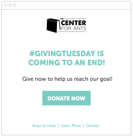 #GivingTuesday