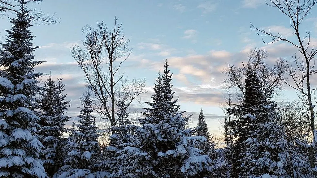 berbicara kebiasaan berjalan