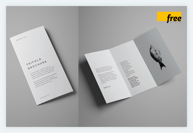 Mockup Brosur Trifold Tingkat Lanjut Gratis