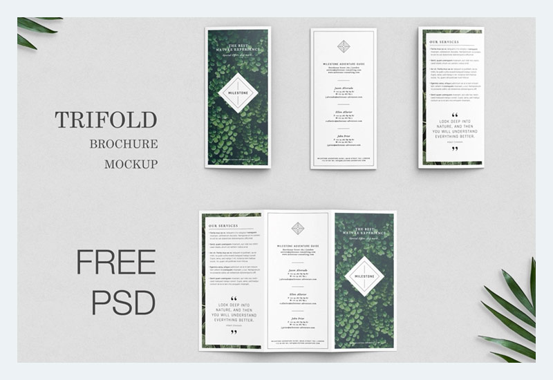Mockup Brosur Trifold Gratis