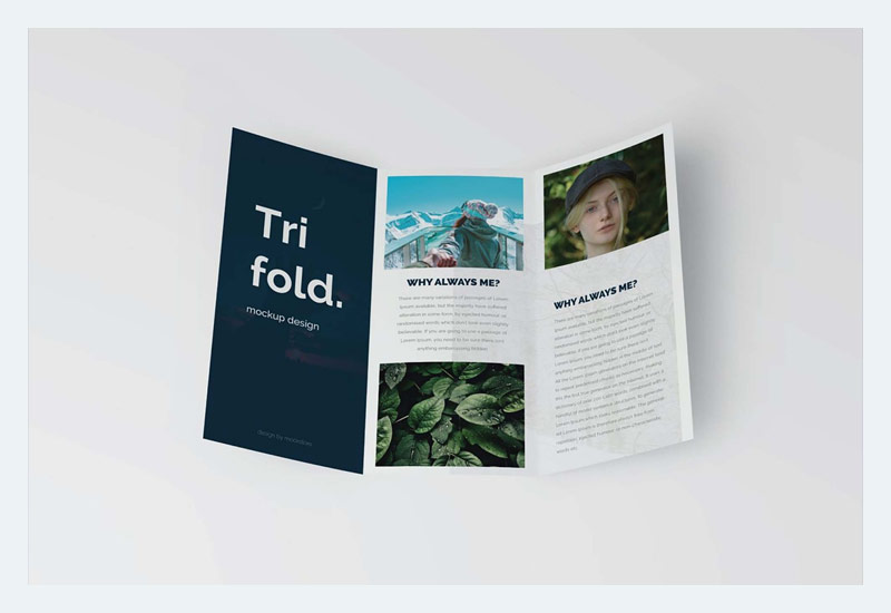 8 Brosur Trifold Mockup PSD