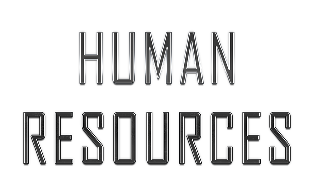 關於人力資源職業你需要知道的一切：解釋