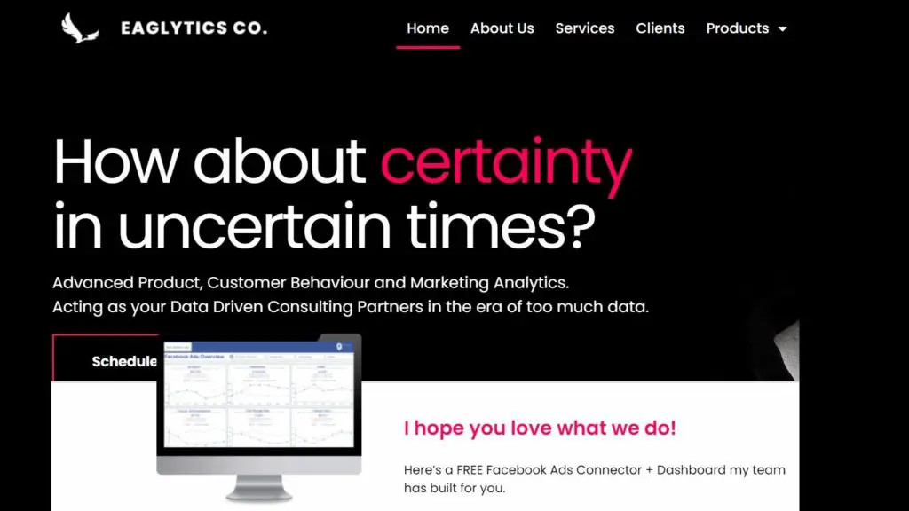 Facebook 广告效果报告的 eaglytics