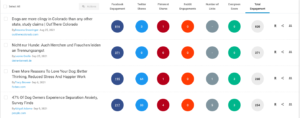 Informes de resultados de Buzzsumo sobre vínculos de retroceso a una página de destino