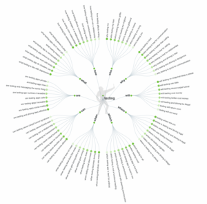 gráfico que muestra los resultados de búsqueda de answer the public