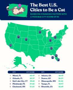 Mapa de EE. UU. que muestra las mejores ciudades para ser un gato