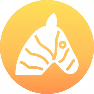 사파리 디지털