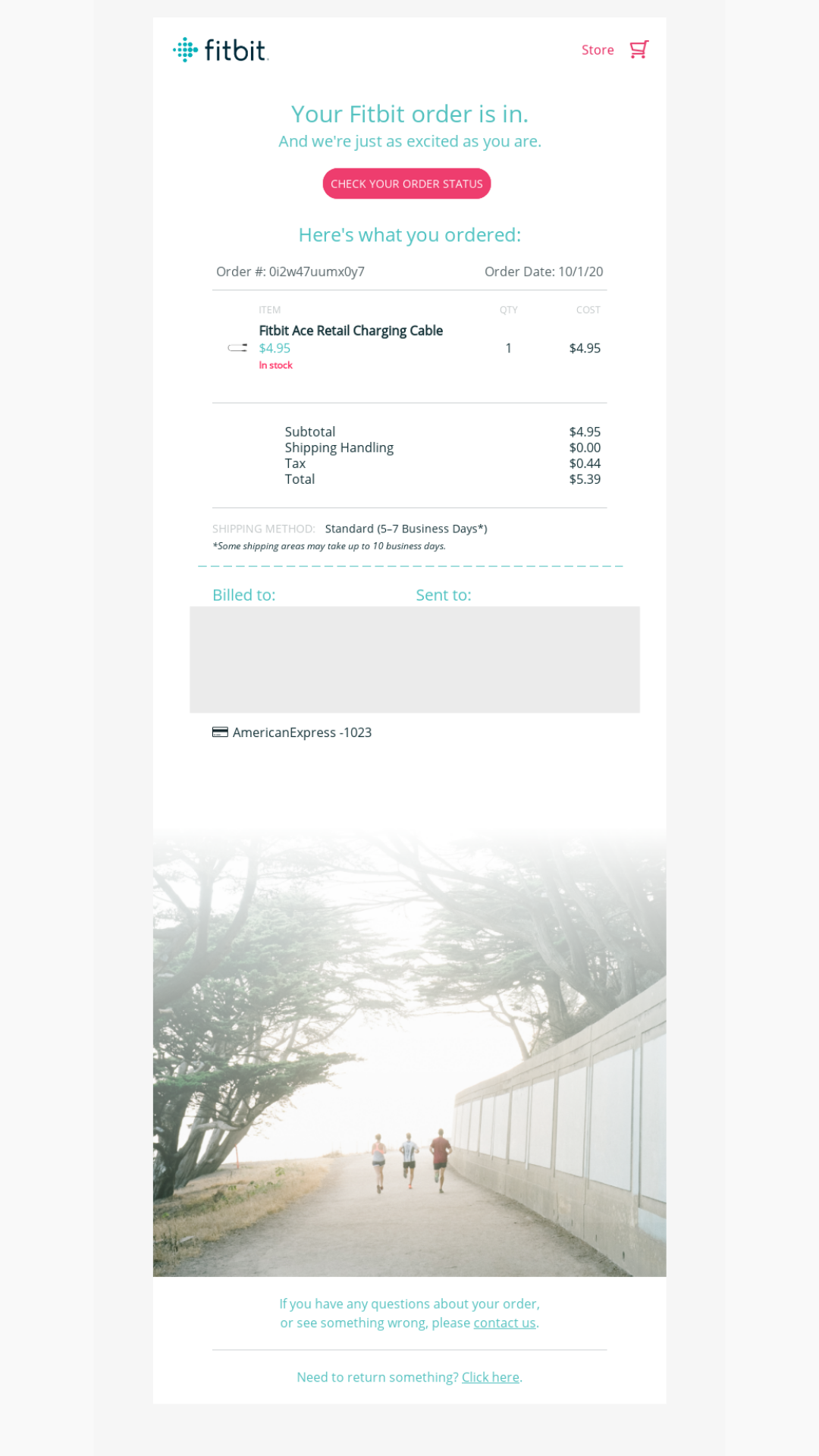 Fitbit 生命週期電子郵件