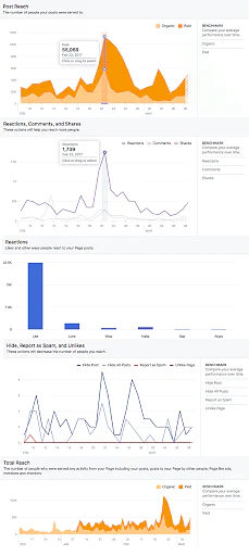 Facebook_Insights_8