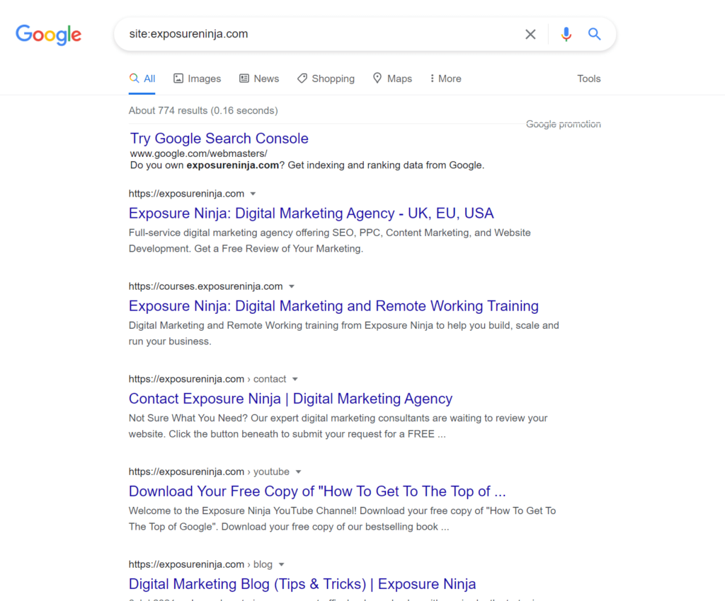 Zrzut ekranu witryny Google: wyszukaj witrynę Exposure Ninja