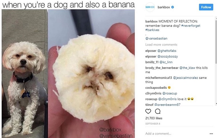 Exemplu de meme Barkbox