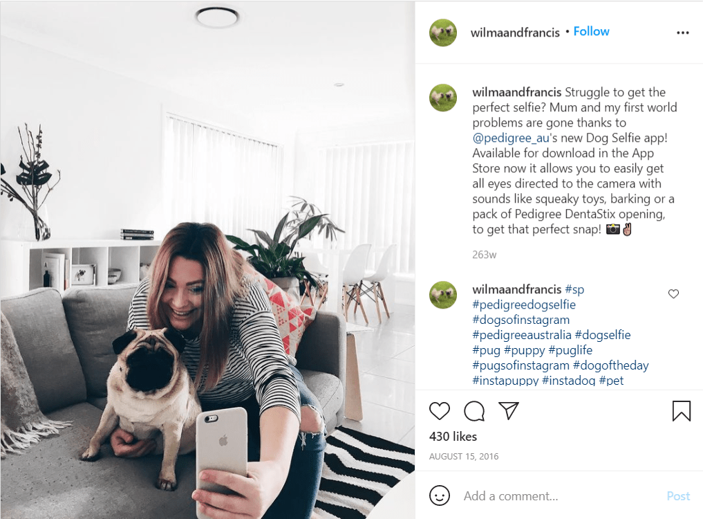 postingan salah satu kontributor untuk Pedigree’s Dog Selfie Campaign