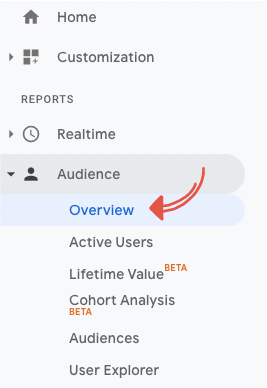 Przegląd w Google Analytics