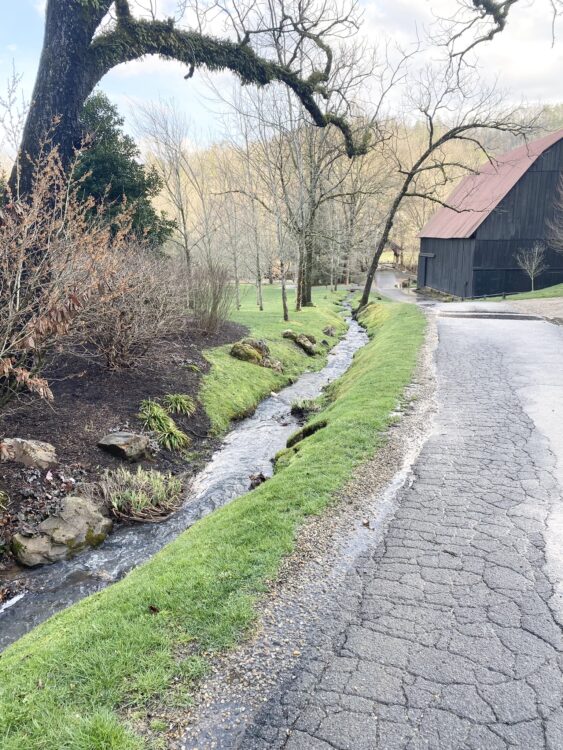 Blackberry Farm Review: La ce să vă așteptați în vacanță