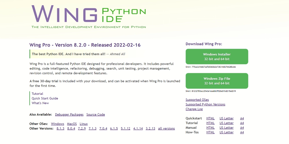 Wing Pro AI-Code-Vervollständigung