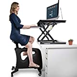 FLEXISPOT FlexiSpot Ev Ofis Ayakta Masa Egzersiz Bisikleti Yüksekliği Ayarlanabilir Döngü - Deskcise Pro (Masaüstü Siyahı Olmadan)