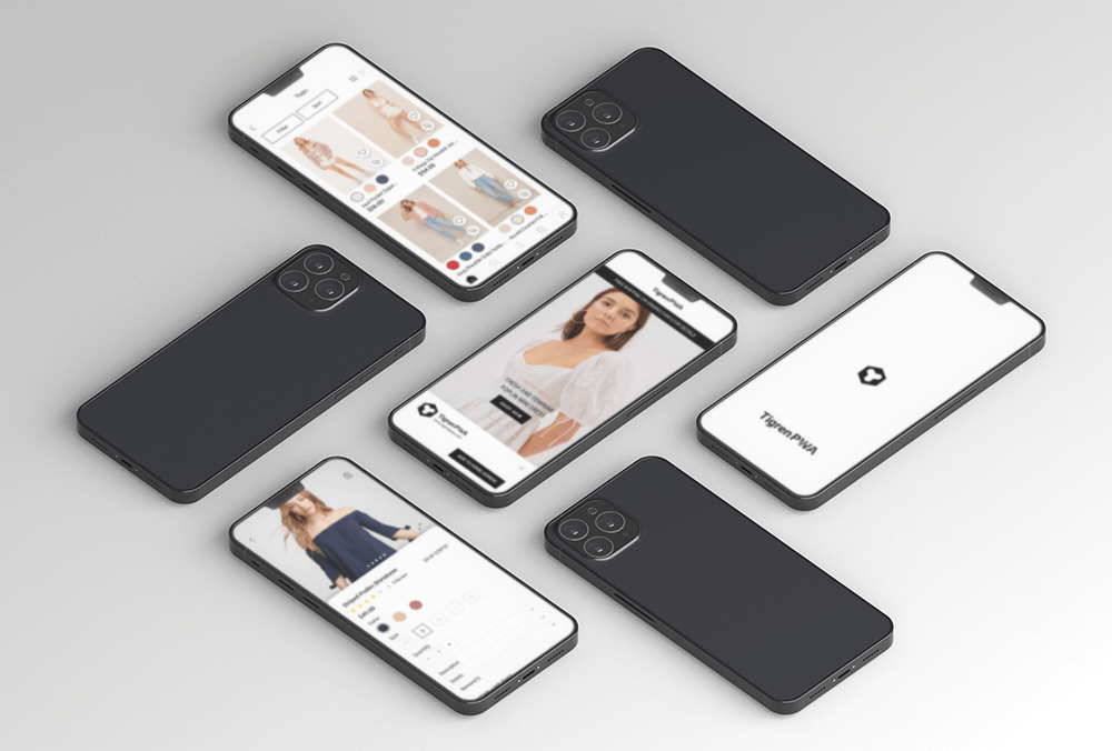 biaya situs web magento 2