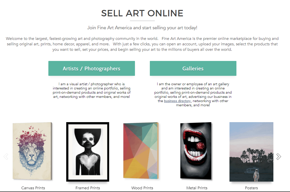 FineArt America 样品的屏幕截图