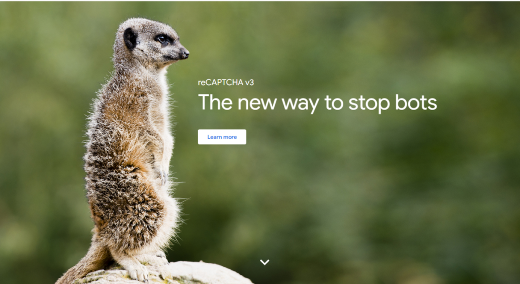 reCAPTCHA v3 do Gravity Forms - polecany obraz