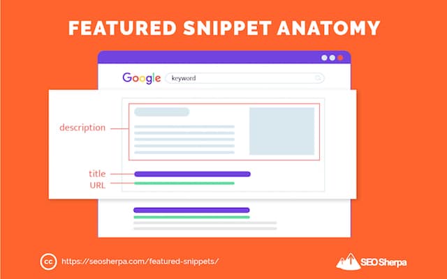 Snippet Anatomy prezentate