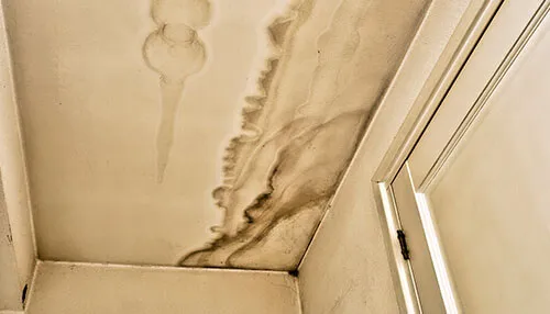 Water Stains Water leaking sprinkler system