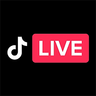 TikTokers는 얼마를 버나요? 2 TikTok Live Broadcasts