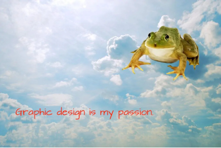 平面设计是我的激情 -30 最佳模因 28 The Classic Frog Art