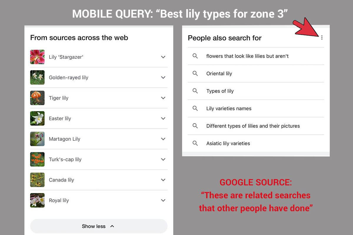 人們還搜索 SERP 在移動搜索結果中更常見