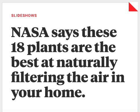 Nasaプラントの記事の例