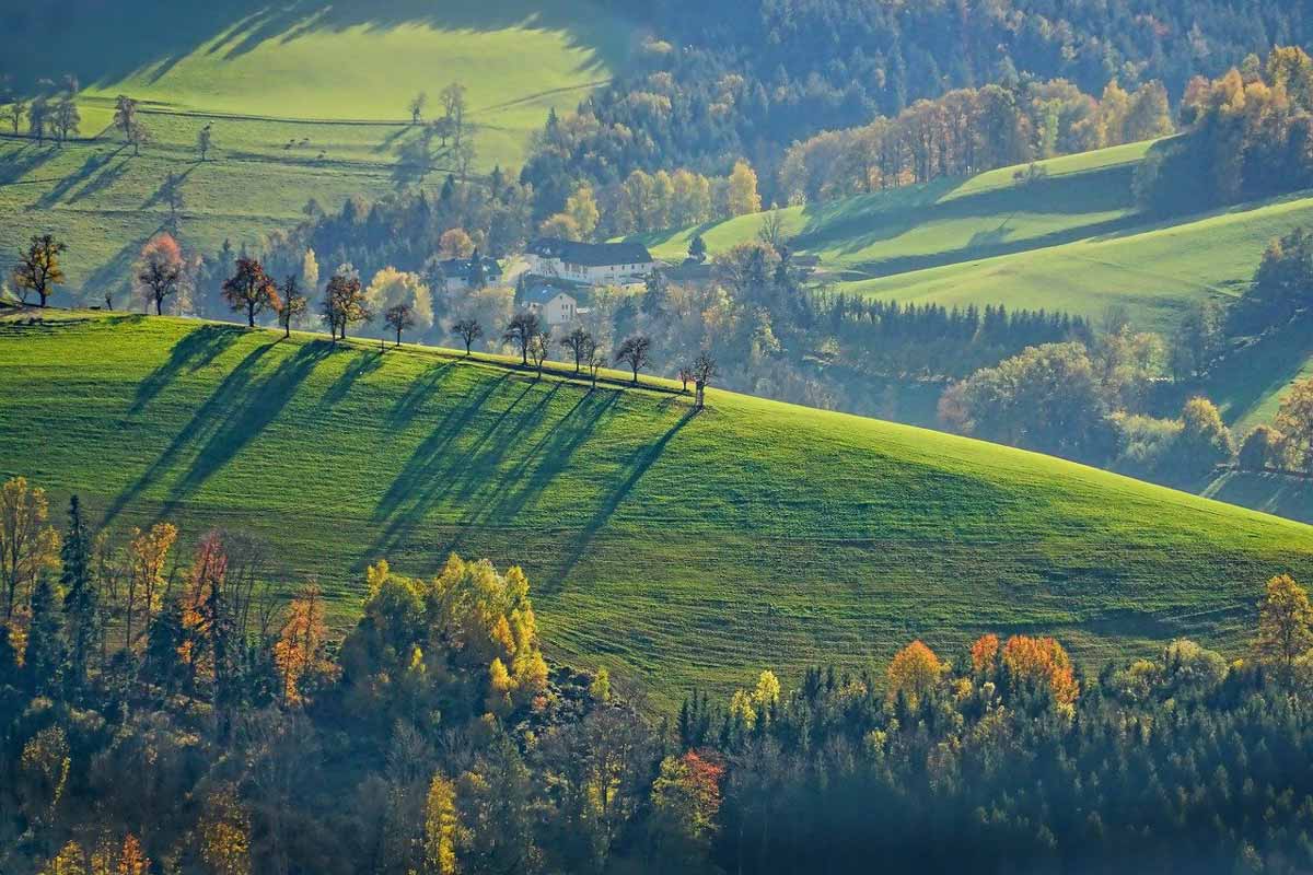 vue d'ensemble d'un magnifique paysage verdoyant et relaxant.