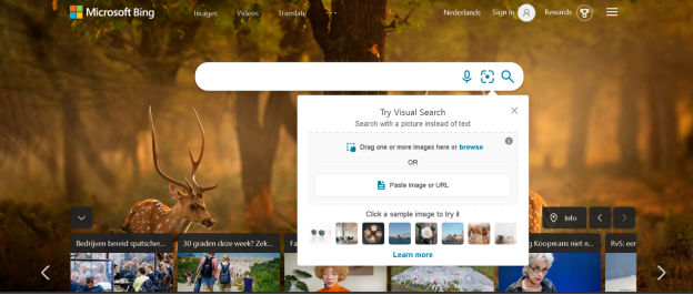 Como fazer uma pesquisa reversa de imagens do Google a partir do seu telefone ou PC 8 Bing Image Search