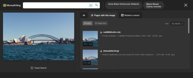 Como fazer uma pesquisa reversa de imagens do Google a partir do seu telefone ou PC 9 Bing Visual Search