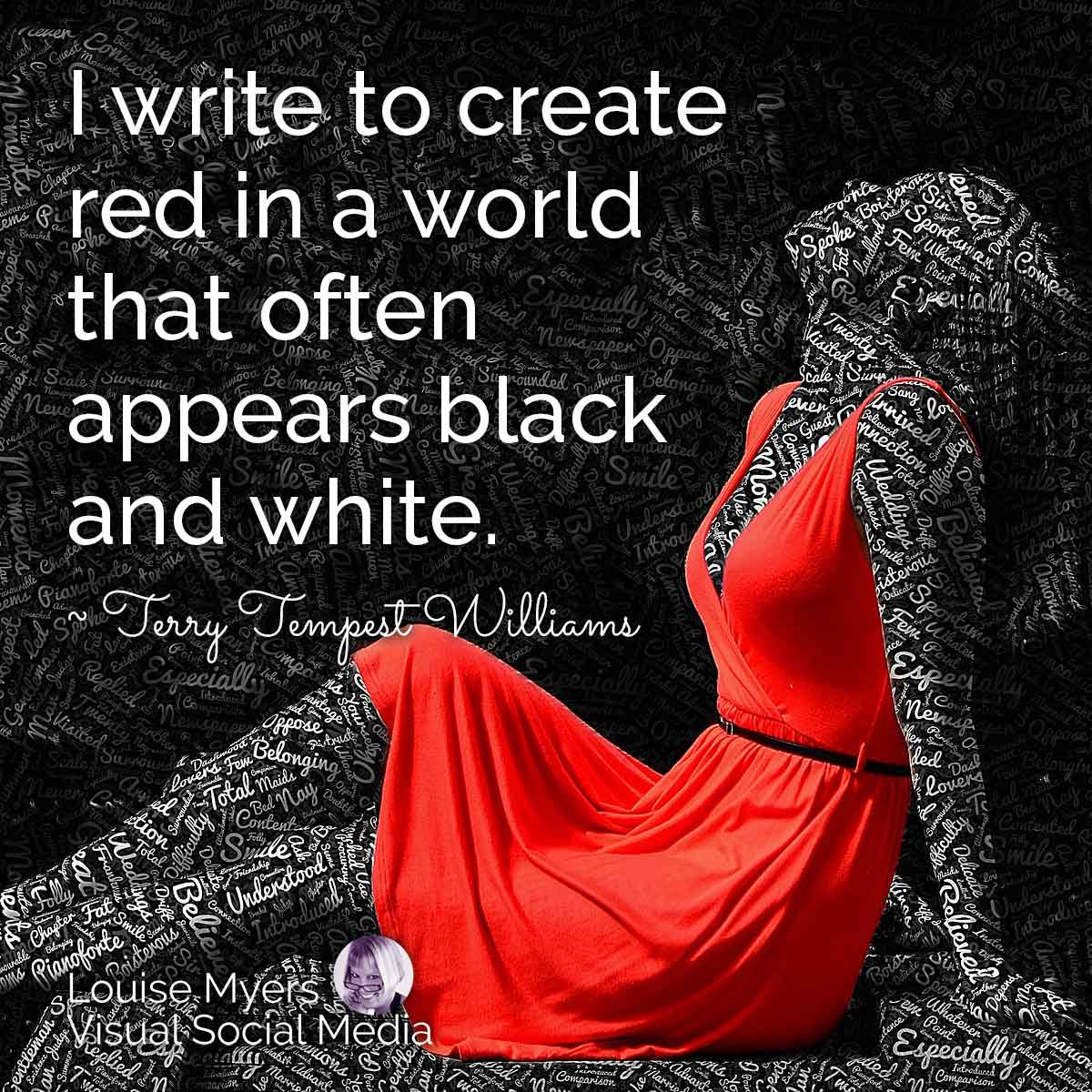 mannequine noir et blanc avec robe rouge a devis, j'écris pour créer du rouge dans un monde qui apparaît souvent en noir et blanc.