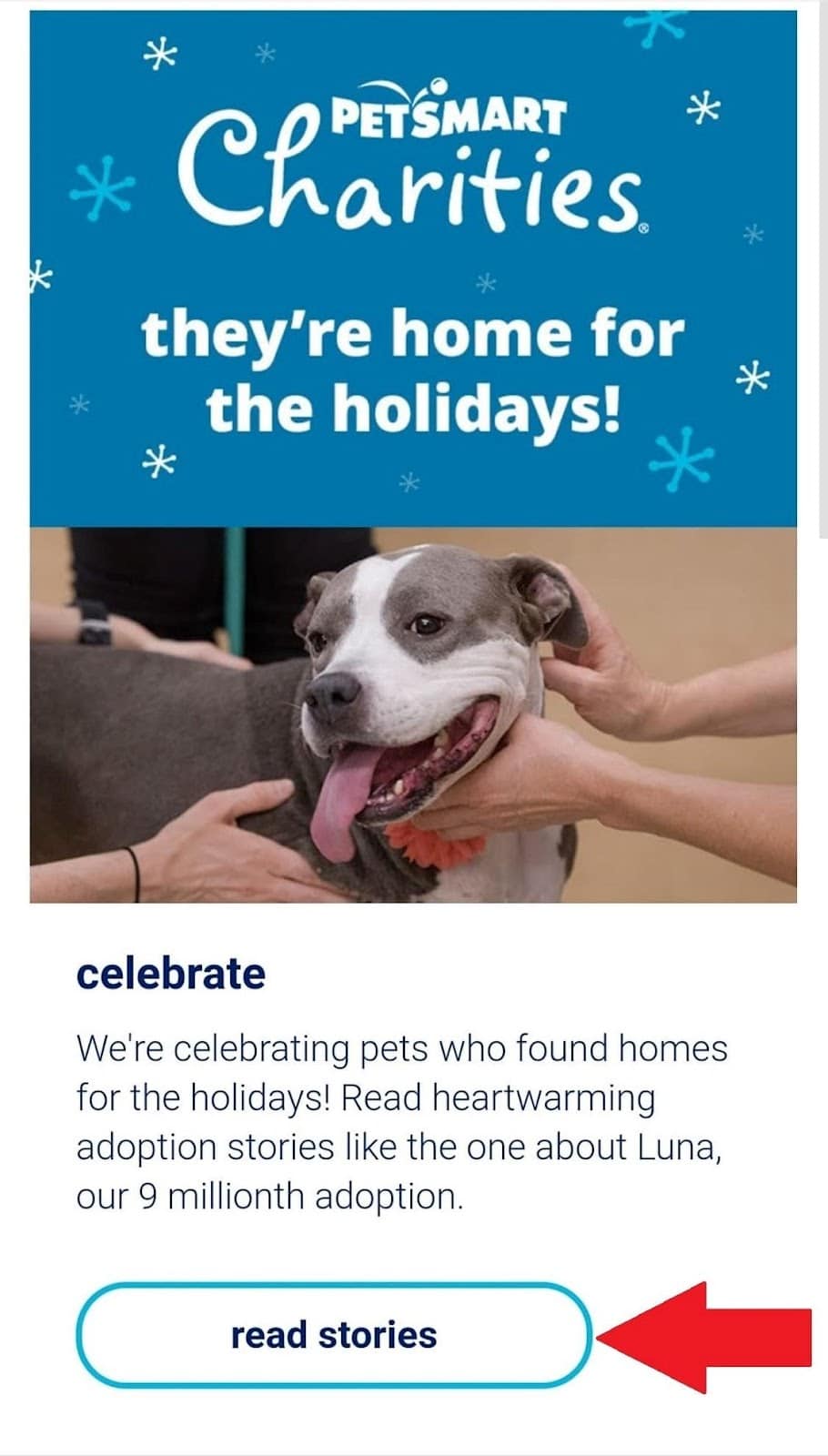 PetSmart CTA 示例