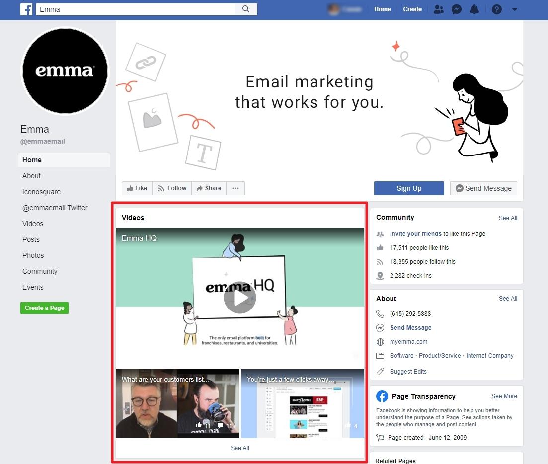エマフェイスブックビデオマーケティングの例