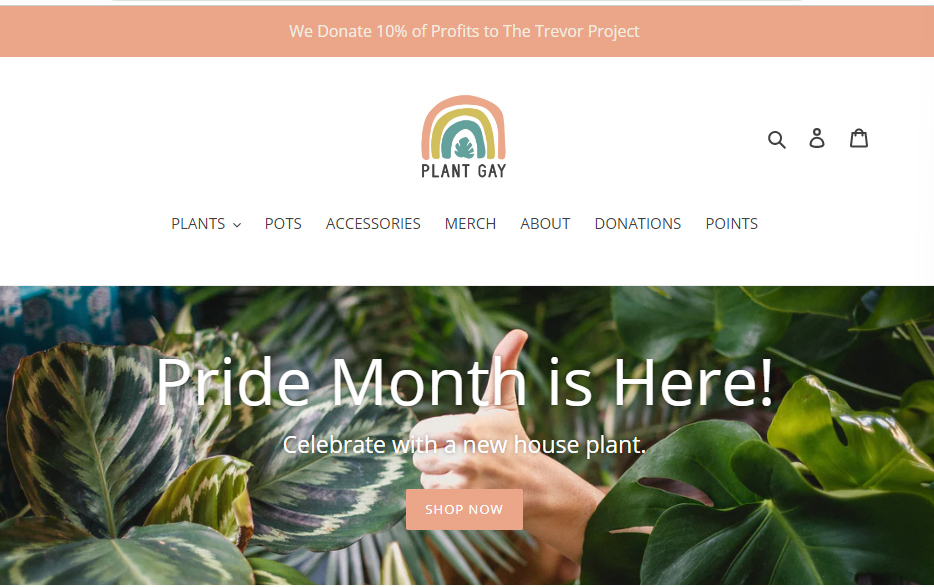 Planta Gay