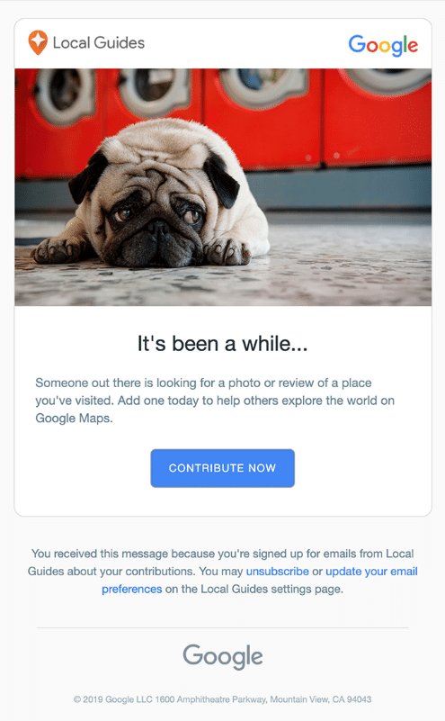 E-Mail-Beispiel für Local Guides