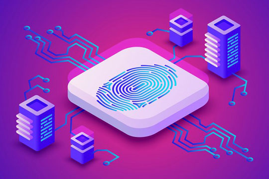 Tecnologia dei dispositivi biometrici delle impronte digitali
