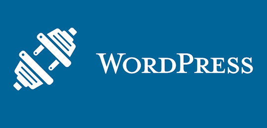 Плагины Wordpress