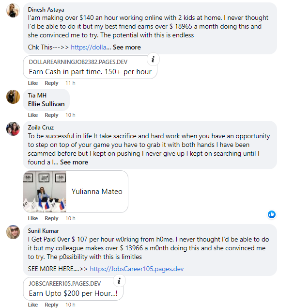 Screenshot von Spam-Kommentaren auf SHEINs Facebook