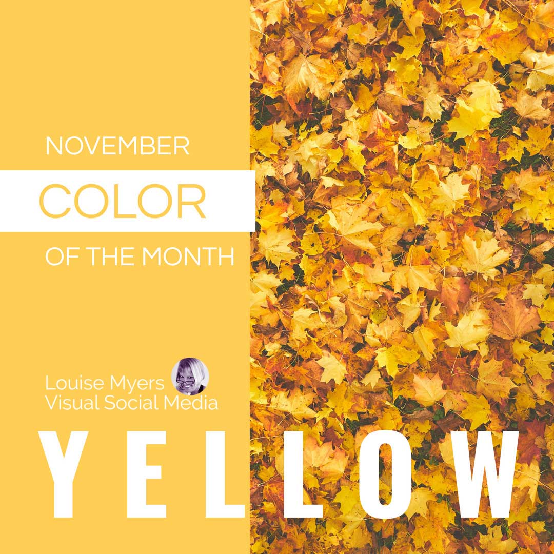 les feuilles d'automne jaunes et dorées indiquent que la couleur du mois de novembre est le jaune.