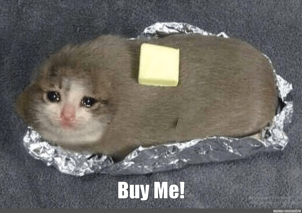 고양이 밈