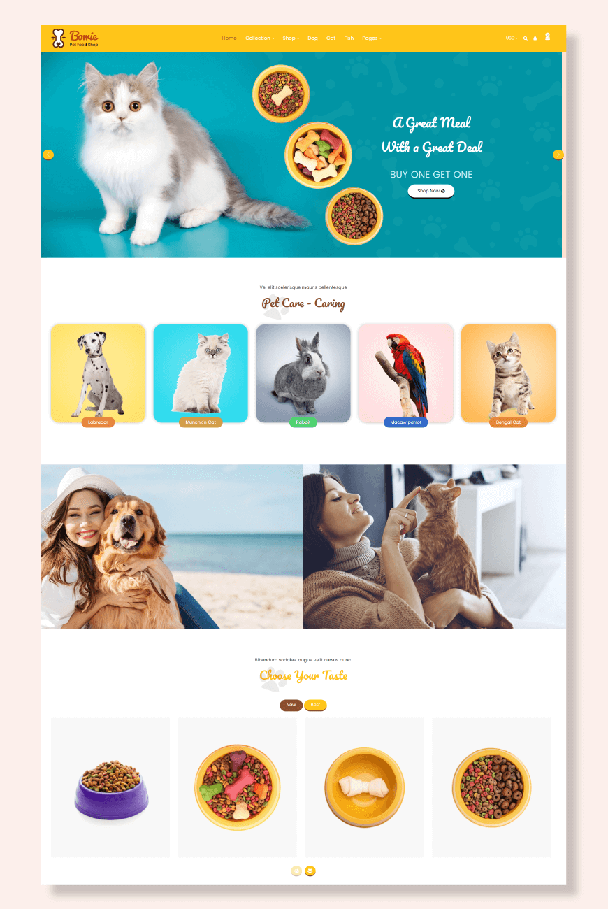 Bowie Shopify الموضوع