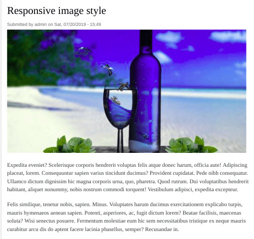 style d'image réactif