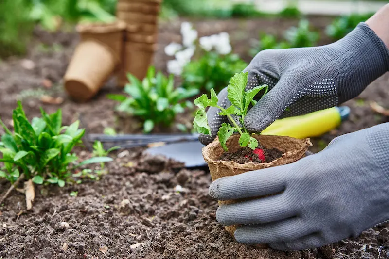 référencement local pour la pelouse et le jardin