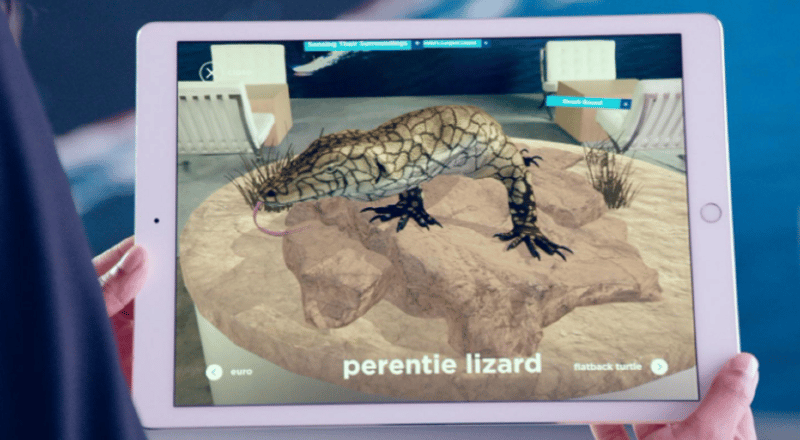 Foto del tablet che mostra l'immagine della lucertola dall'esperienza Chevron
